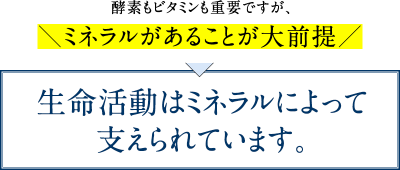 酵素もビタミンも重要ですが、ミネラルがあることが大前提。生命活動はミネラルによって支えられています。