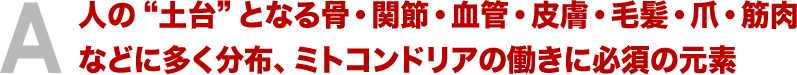 ケイ素＝人の“土台”となる骨・関節・血管・皮膚・毛髪・爪・筋肉などに多く分布、ミトコンドリアの働きに必須の元素