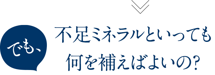 でも、不足ミネラルといっても何を補えばよいの？