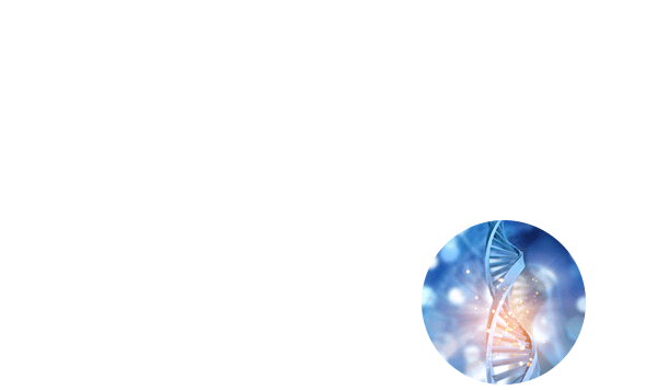 特徴3 - ナノサイズだから体内への高い吸収性