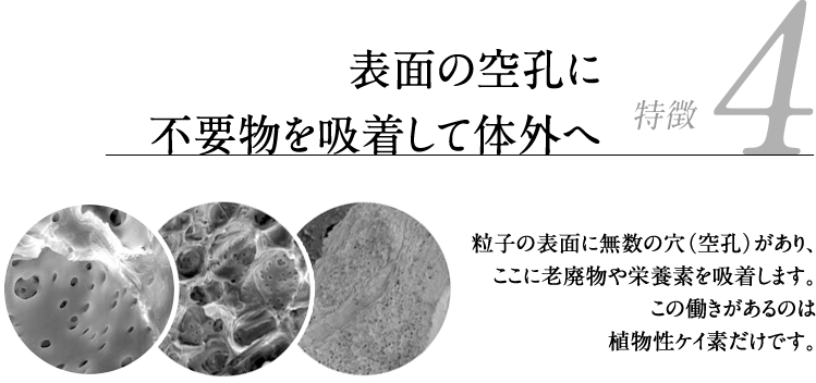 特徴4 - 表面の空孔に不要物を吸着して体外へ