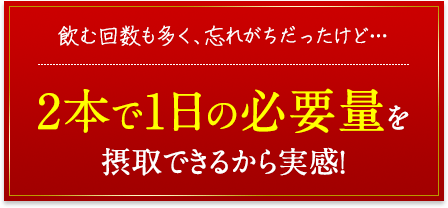 2本で1日の必要量を摂取できるから実感!