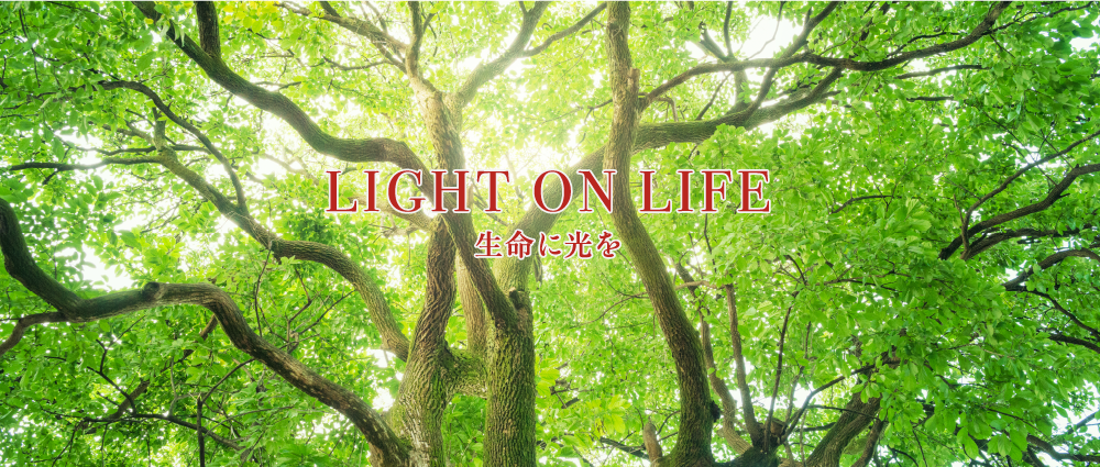 LIGHT ON LIFE 生命に光を