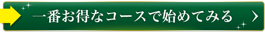 一番お得なコースで始めてみる