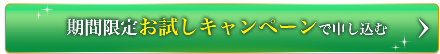 期間限定お試しキャンペーンで申し込む