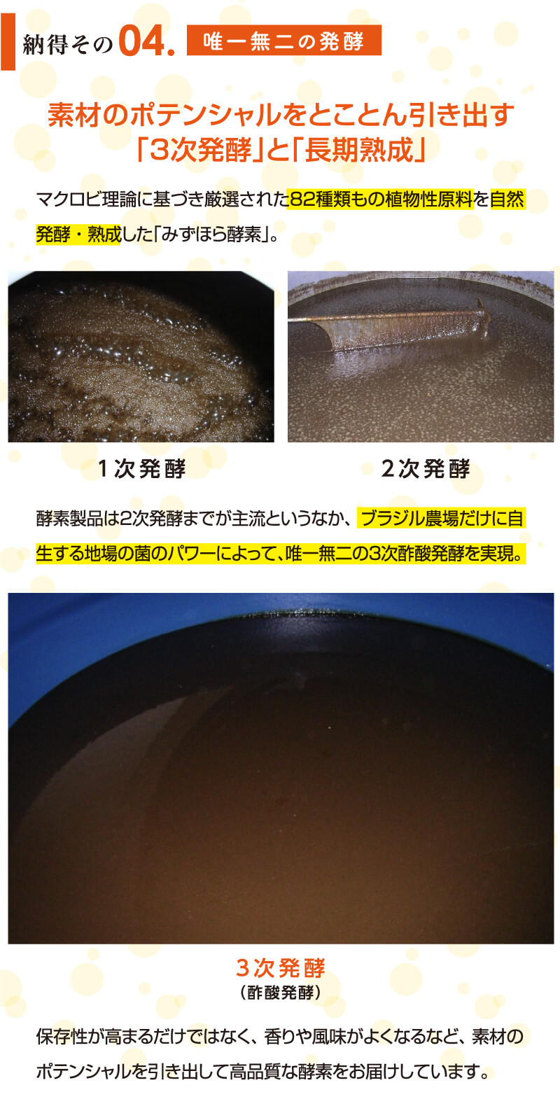 納得その4　唯一無二の発酵