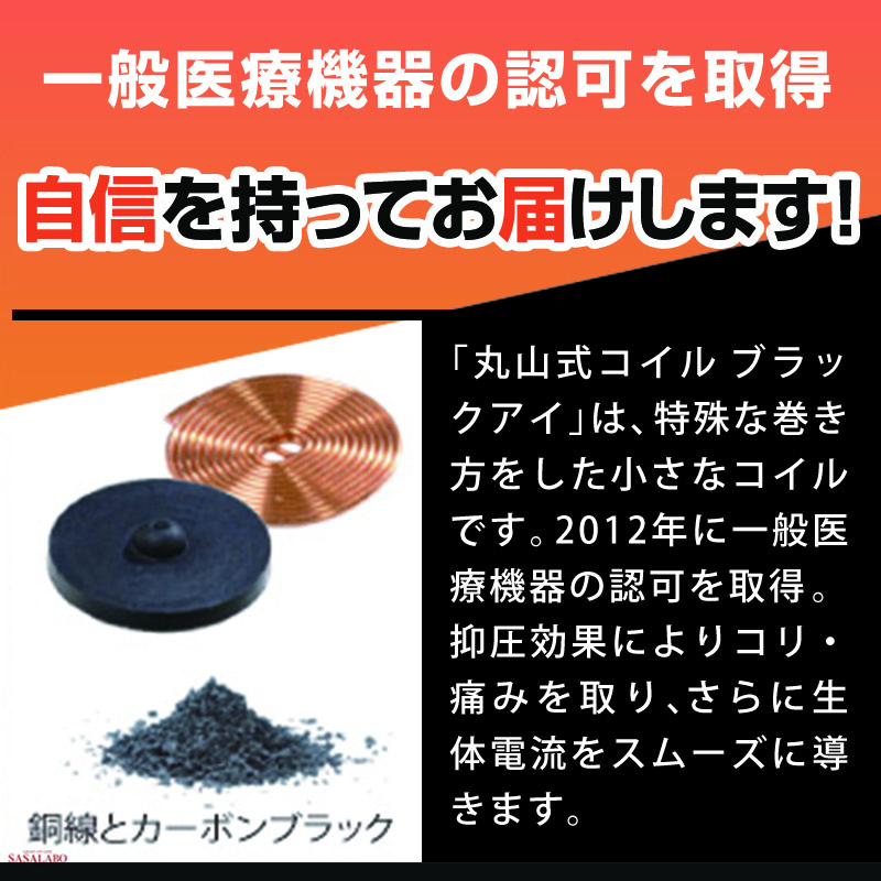 最大94％オフ！ 最大33倍 丸山式コイル ブラックアイ 100個入り 一般医療機器 アンペールの法則 磁気 電流 送料無料