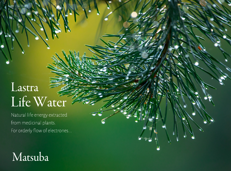 Life Water 松葉