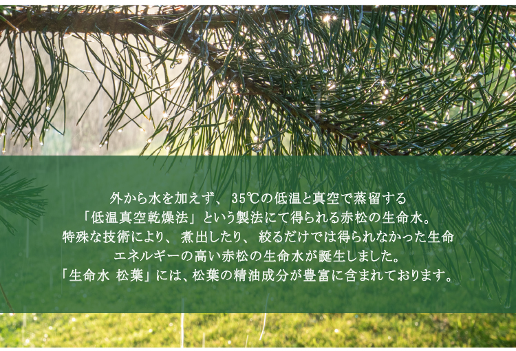 「低温真空乾燥法」という製法にて生命エネルギーの高い赤松の生命水が誕生しました。