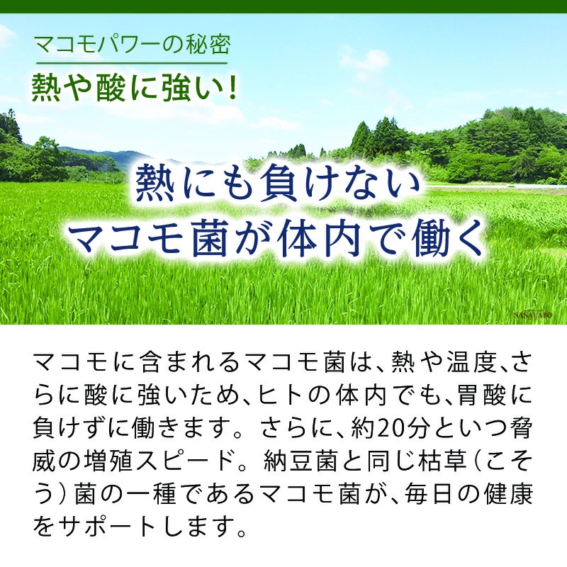 お得な定期コース：マコモ 190g 【毎回プレゼント付き】まこも