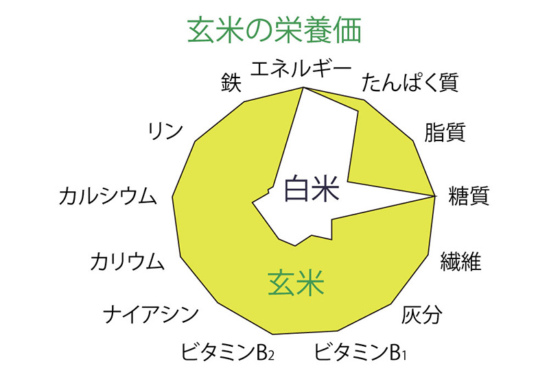 BRAIN LINK FLORA(ブレインリンクフローラ) 商品画像1